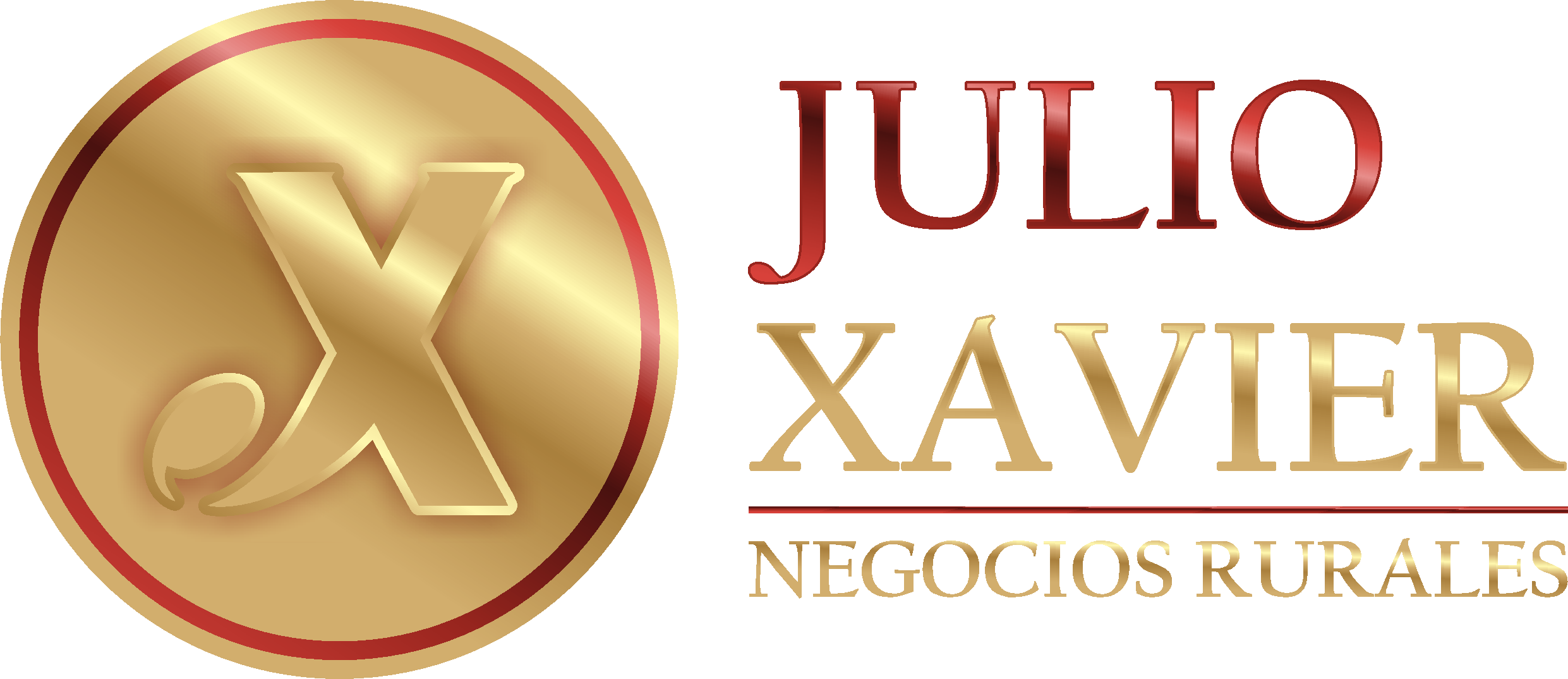Julio Xavier
